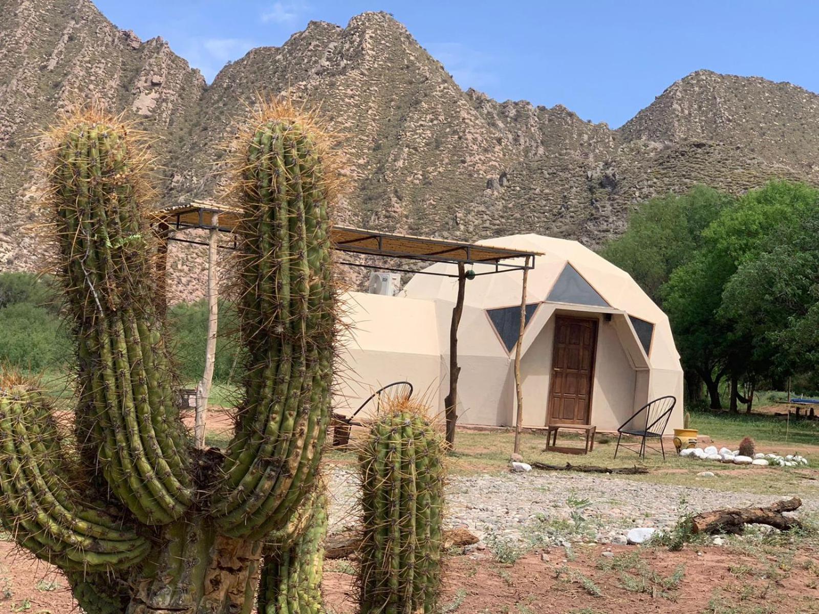Hotel Hacienda Casa Blanca 蒂诺加斯塔 外观 照片