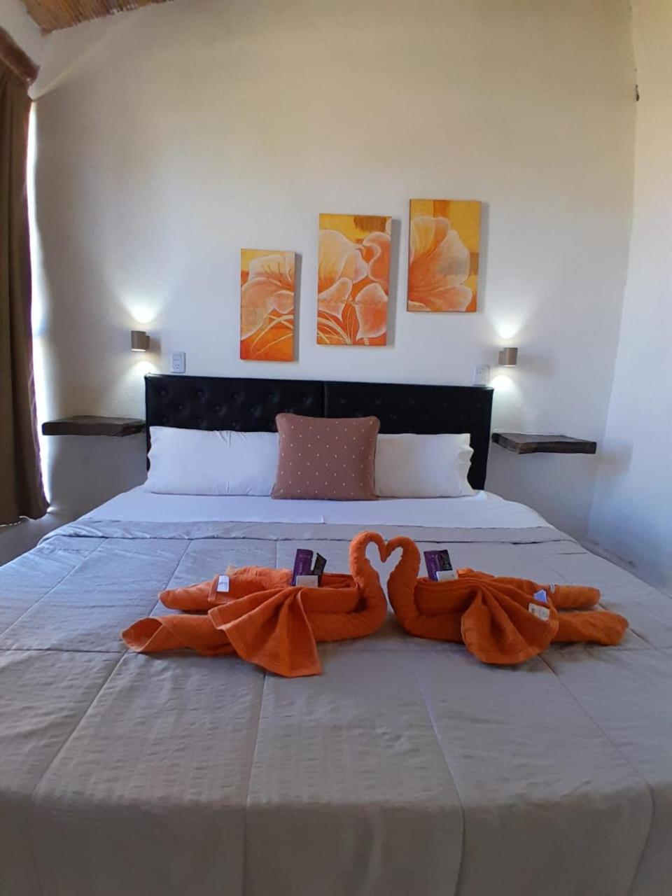 Hotel Hacienda Casa Blanca 蒂诺加斯塔 外观 照片